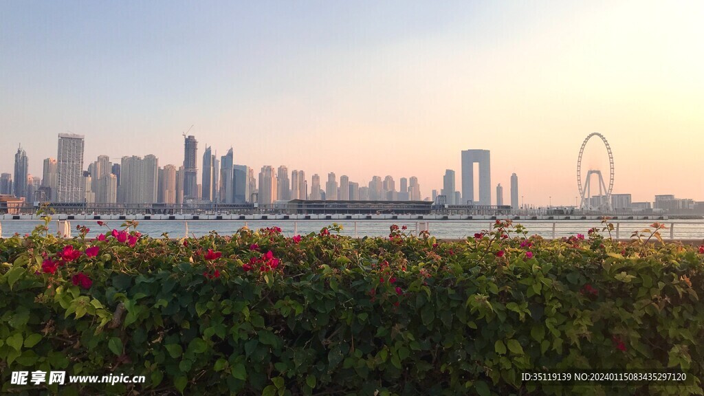 城市风景