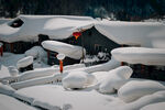 雪乡