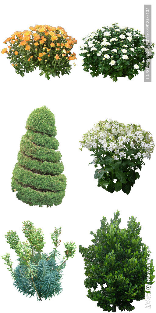 园林绿植花卉