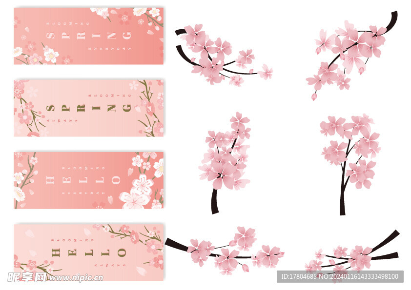 樱花