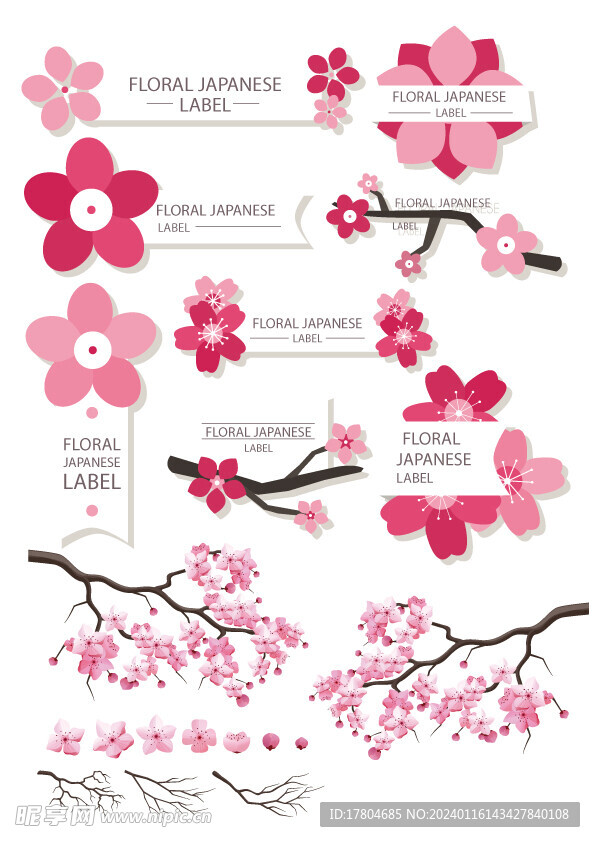 樱花