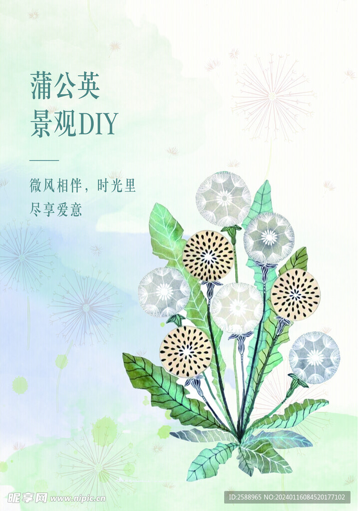 蒲公英diy