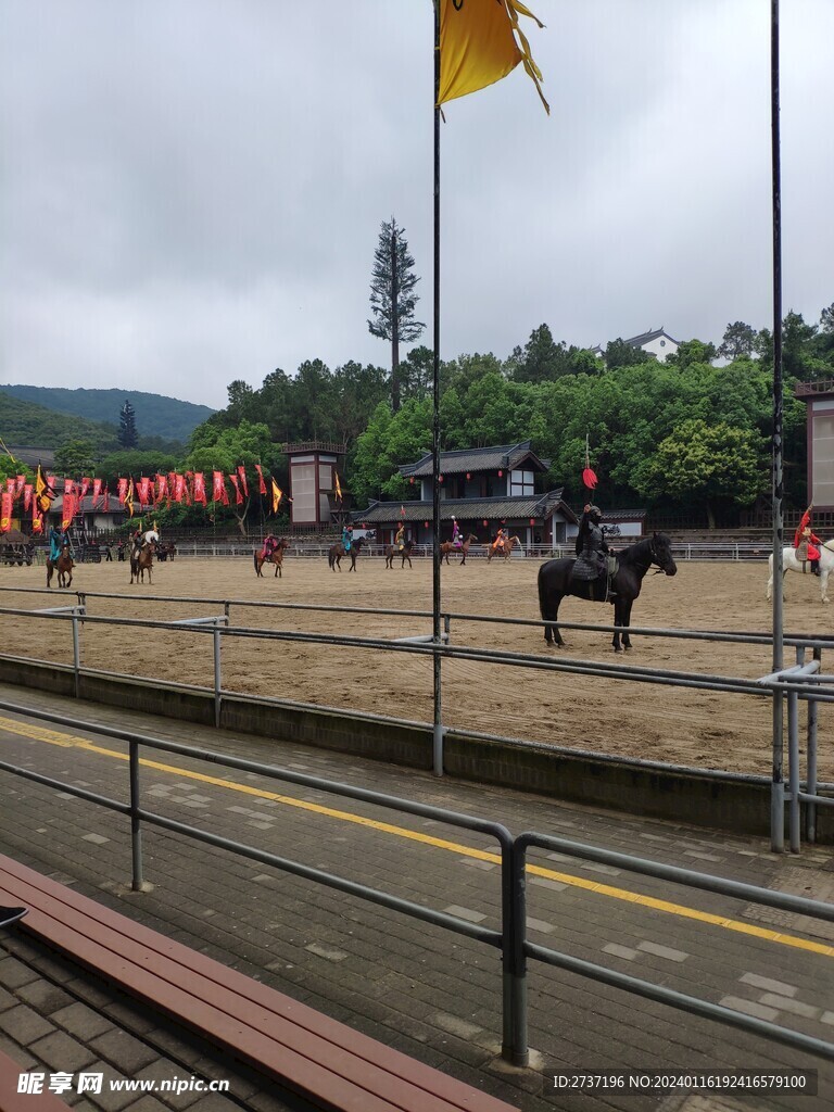 骑士