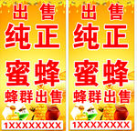 出售蜜蜂