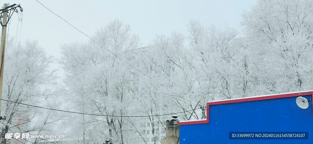 哈尔滨冬季雾凇