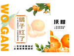 橘子包装