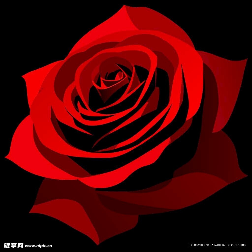 红色玫瑰花卉