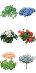 公园春季花卉