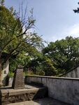 苏州虎丘
