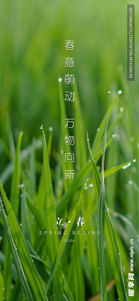 立春