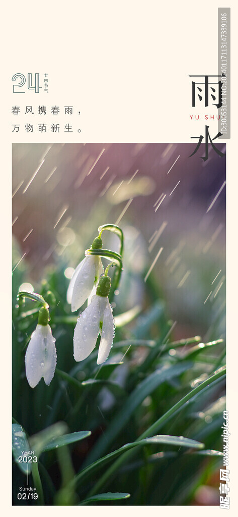雨水