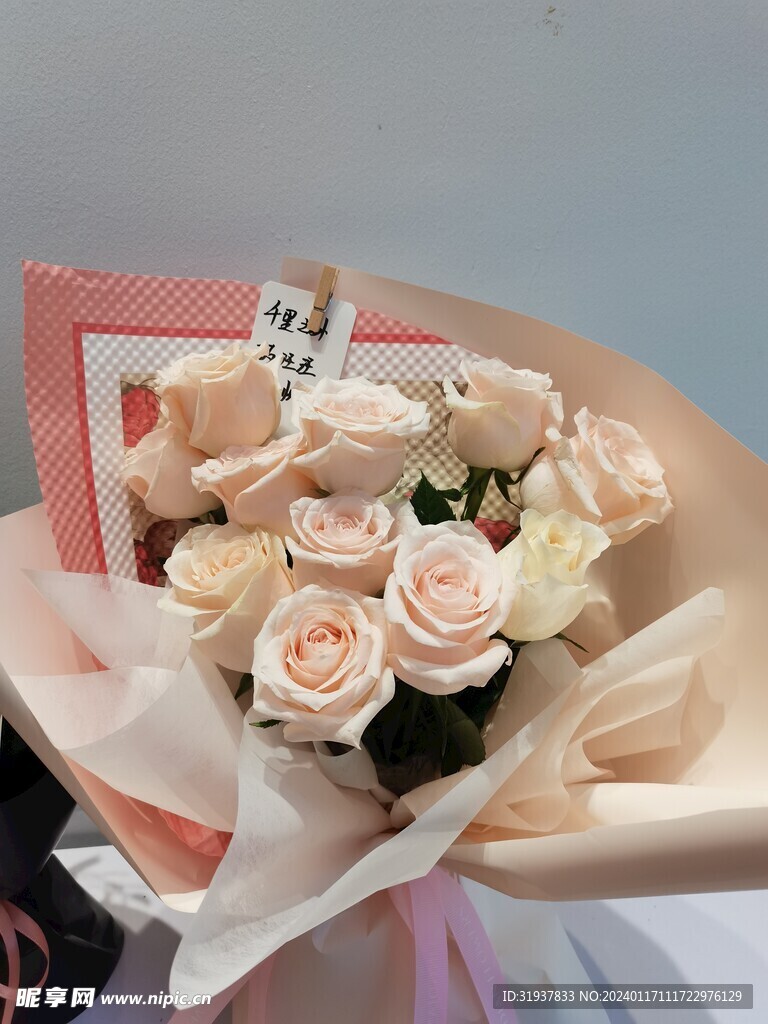 玫瑰花 粉橙