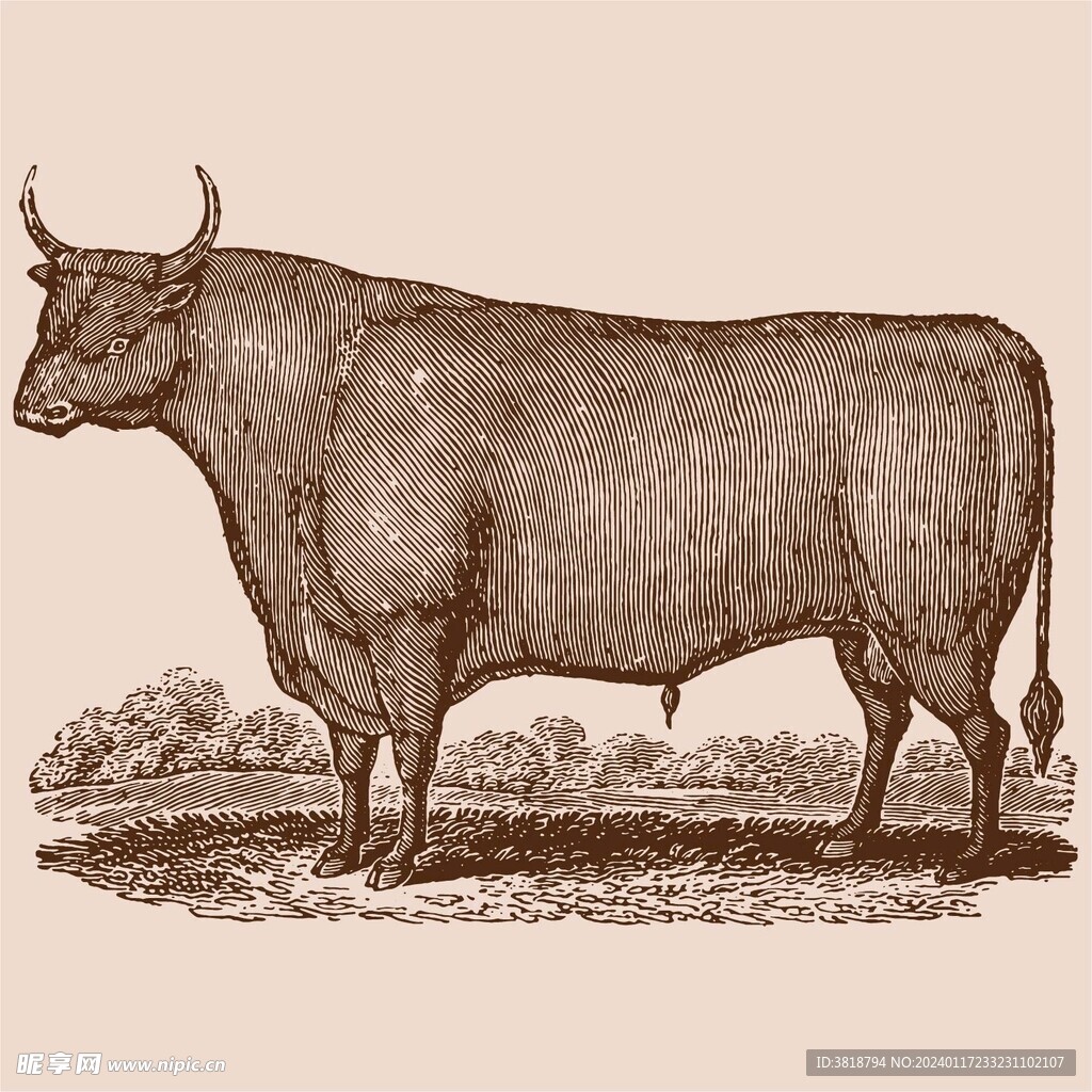 手绘版画牛