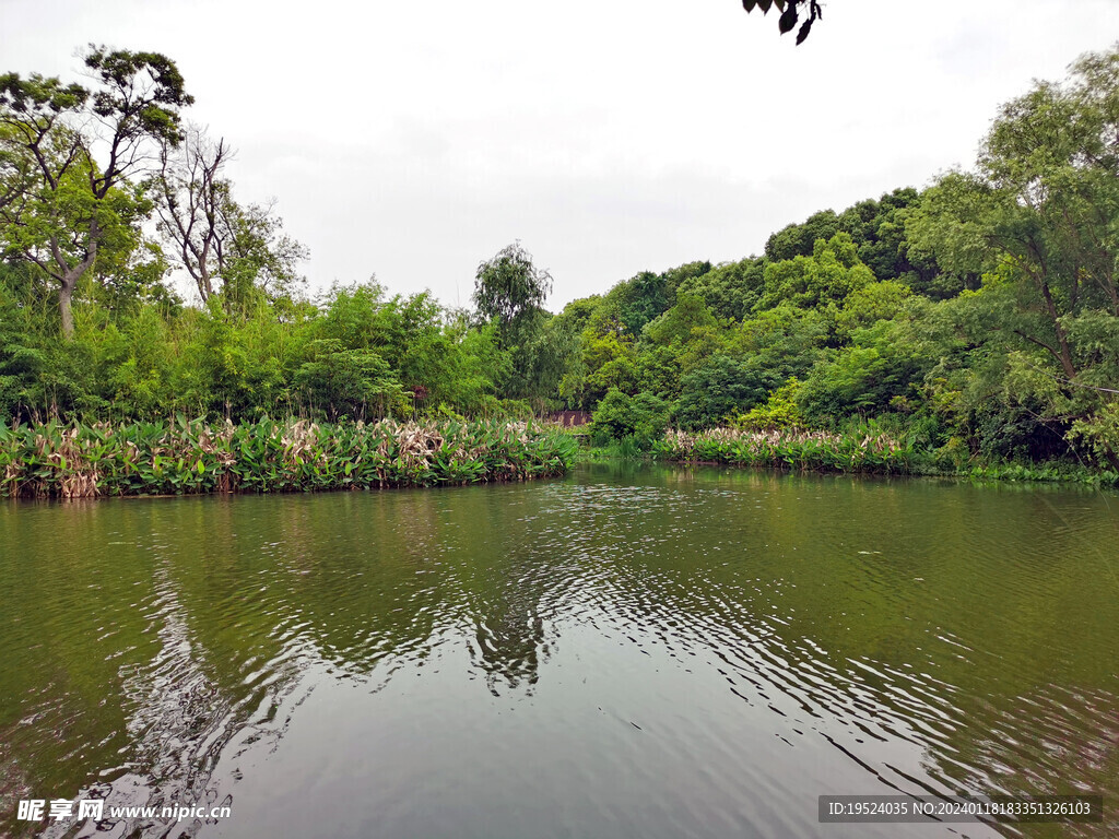 湖边风景