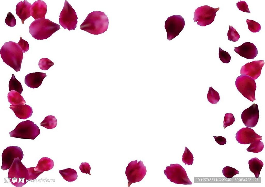  玫瑰花瓣  
