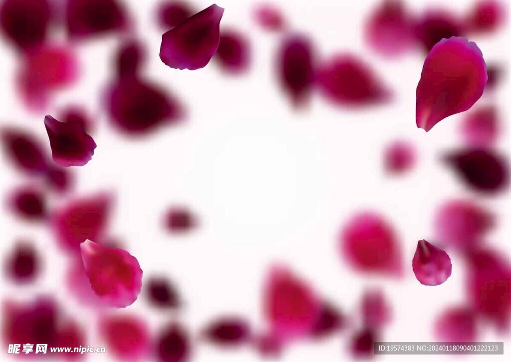  玫瑰花瓣  