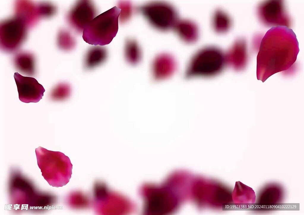  玫瑰花瓣  