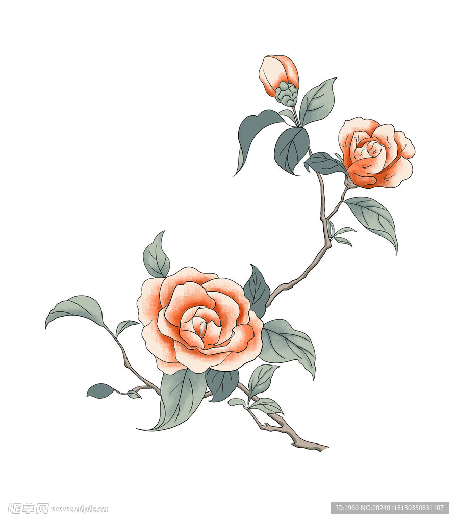 山茶花