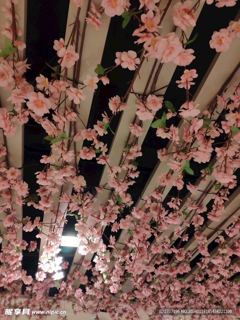 天花板