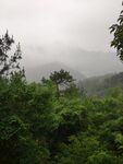 富春桃源