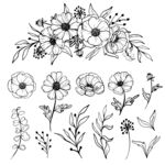 手绘花卉