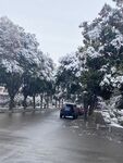 雪景