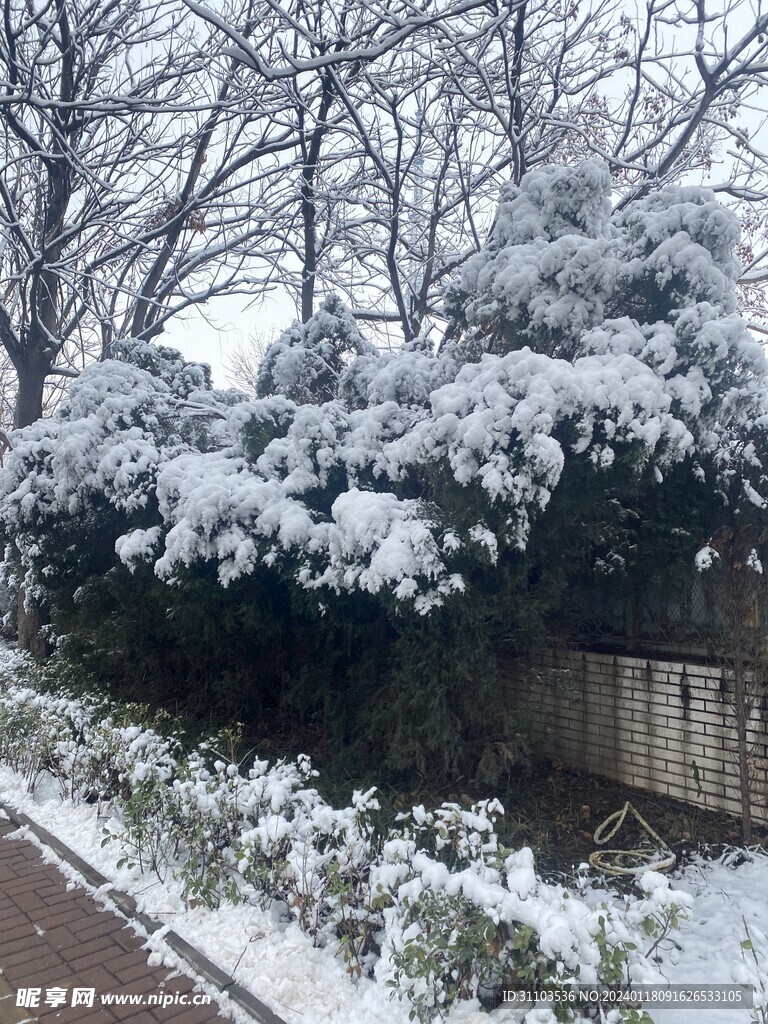 雪景