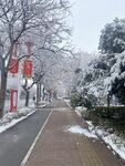 雪景
