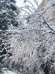 雪景