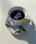 一杯花茶