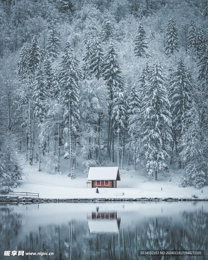 林间雪景