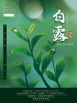 白露