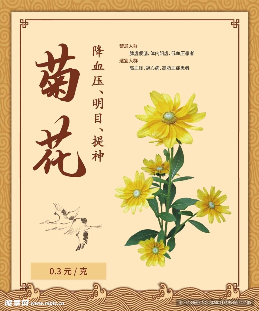 中医功效介绍菊花