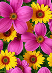 花