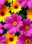 花