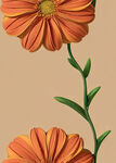 花