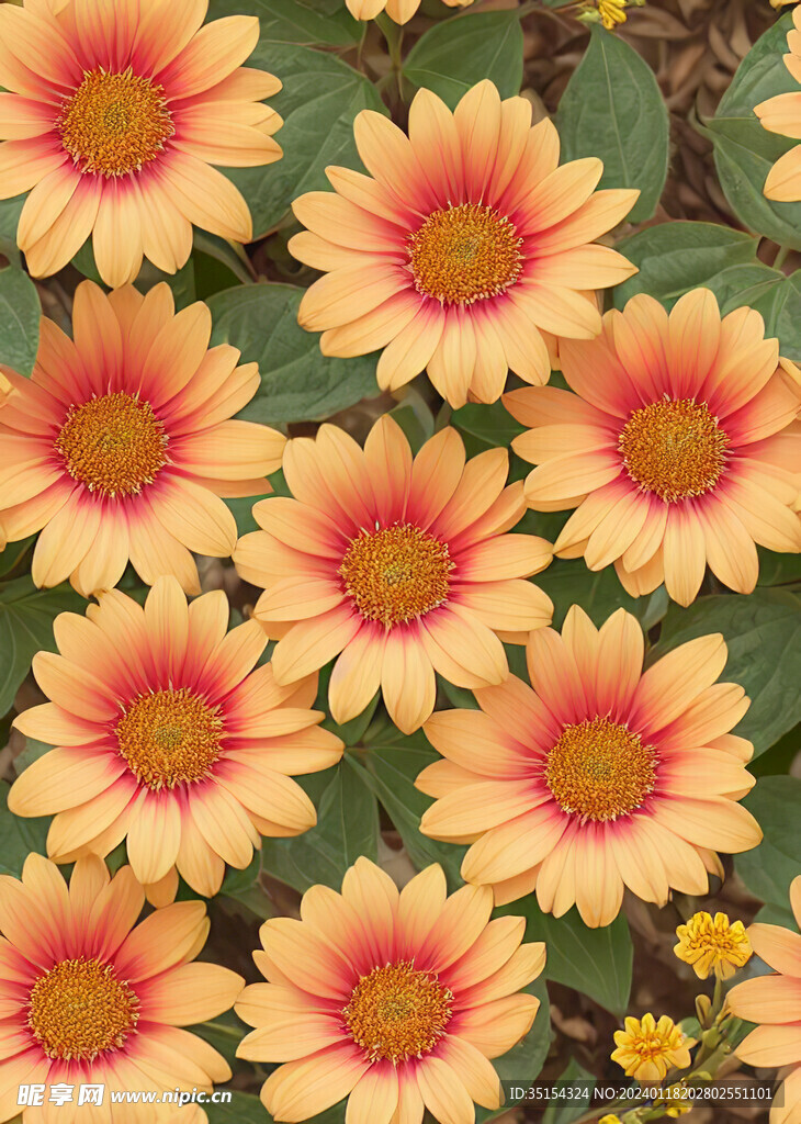 花