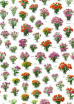 花