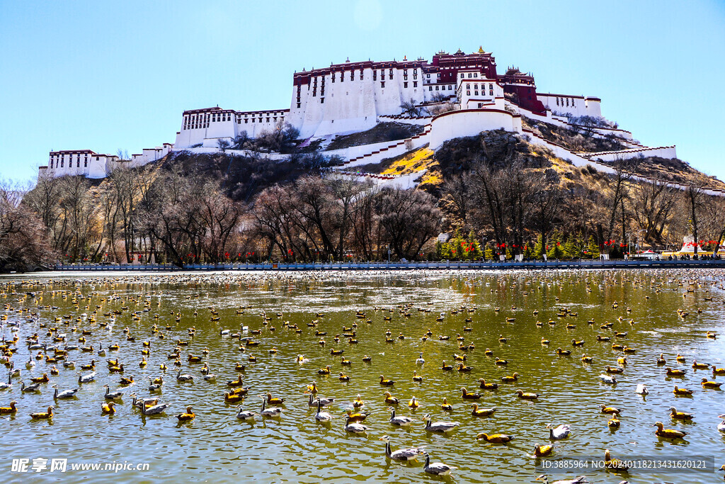 布达拉宫广场图片