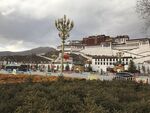 布达拉宫广场图片
