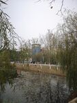 湖边