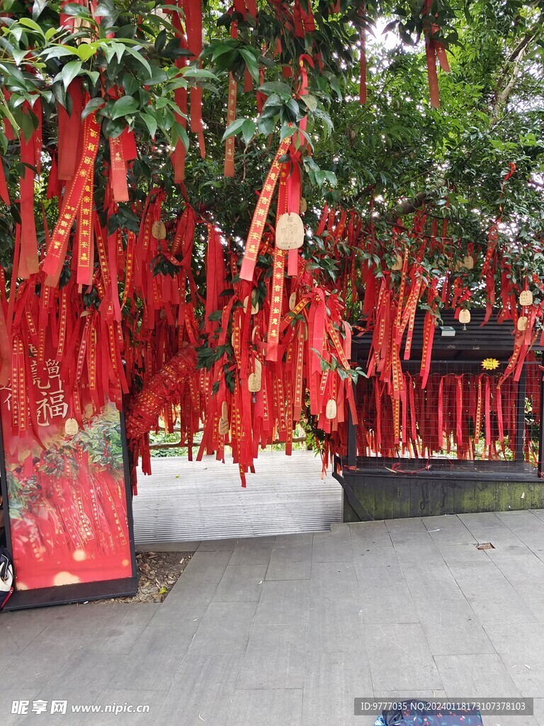 许愿树