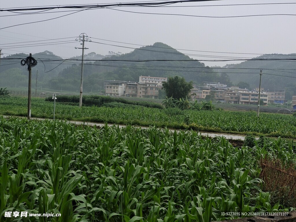 农村风景