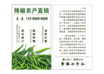 辣椒竖版名片素材