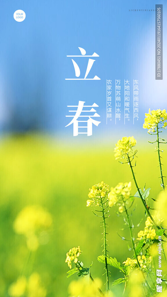立春油菜花海报