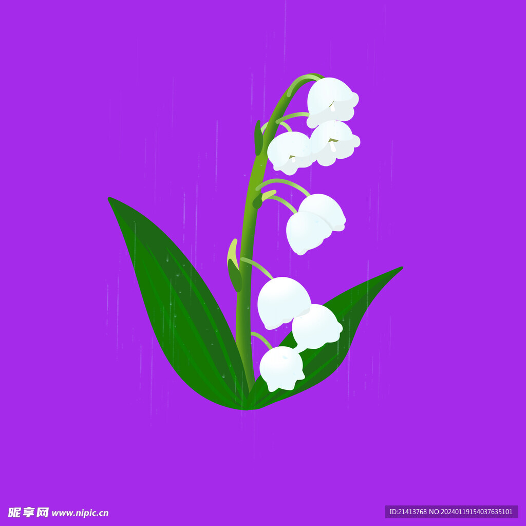 手绘花卉花朵