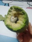 牛油果