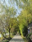 休闲绿化