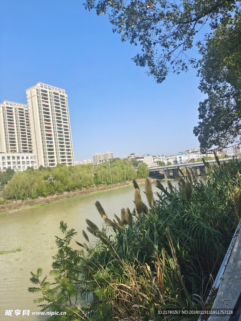 公园河边