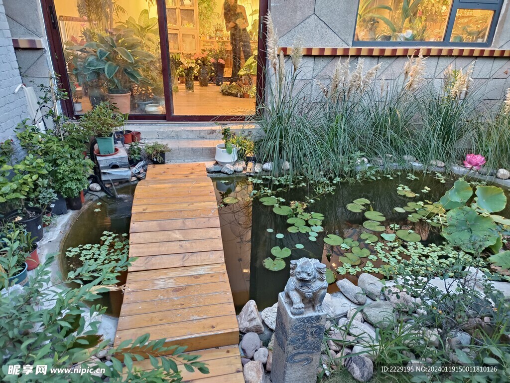 池塘